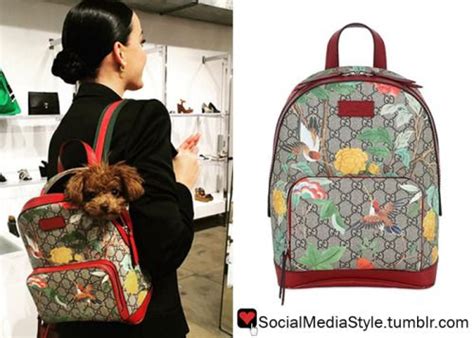 gucci backpack instagram|Gucci backpack hummingbird.